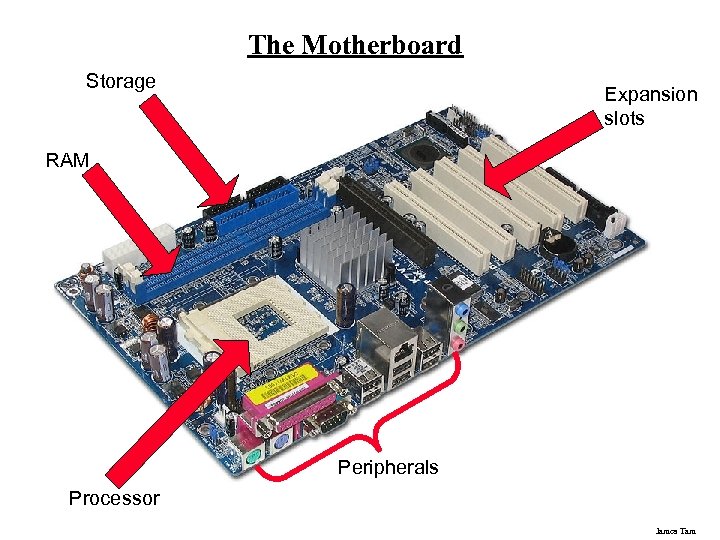 The Motherboard Storage Expansion slots RAM Peripherals Processor James Tam 
