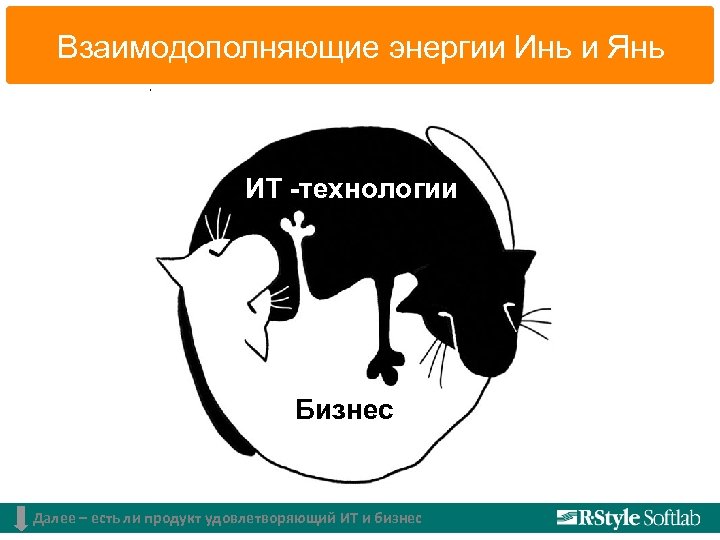 Взаимодополняющие энергии Инь и Янь ИТ -технологии Бизнес Далее – есть ли продукт удовлетворяющий