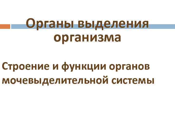 Органы выделения организма Строение и функции органов мочевыделительной системы 