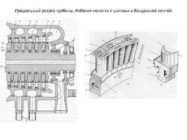 Продольный разрез турбины. Рабочие лопатки с шипами и бандажной лентой 