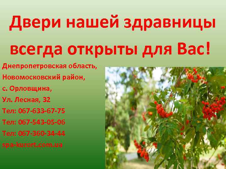 Двери нашей здравницы всегда открыты для Вас! Днепропетровская область, Новомосковский район, с. Орловщина, Ул.