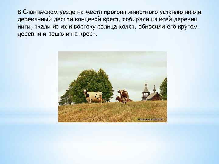 В Слонимском уезде на места прогона животного устанавливали деревянный десяти концевой крест, собирали из