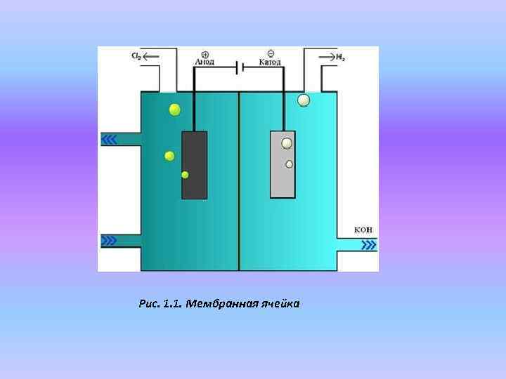 Рис. 1. 1. Мембранная ячейка 