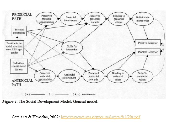 Catalano & Hawkins, 2002: http: //psycnet. apa. org/journals/pre/5/1/20 r. pdf 