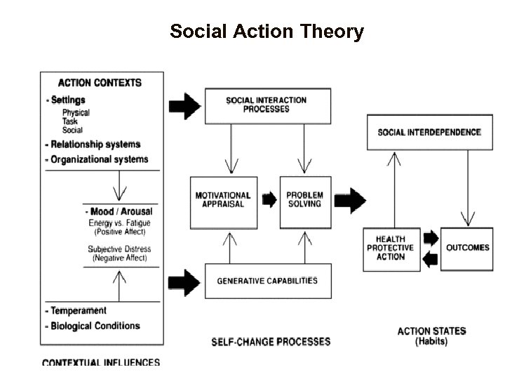 Social Action Theory 