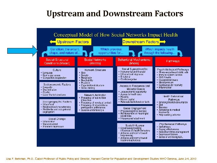 Upstream and Downstream Factors Lisa F. Berkman, Ph. D. . Cabot Professor of Public
