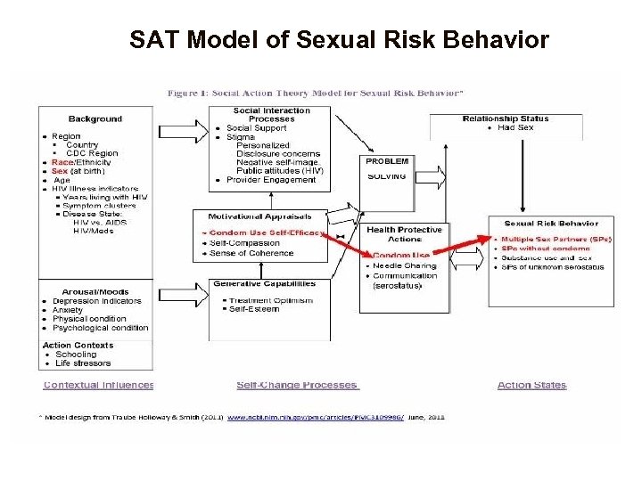 SAT Model of Sexual Risk Behavior 