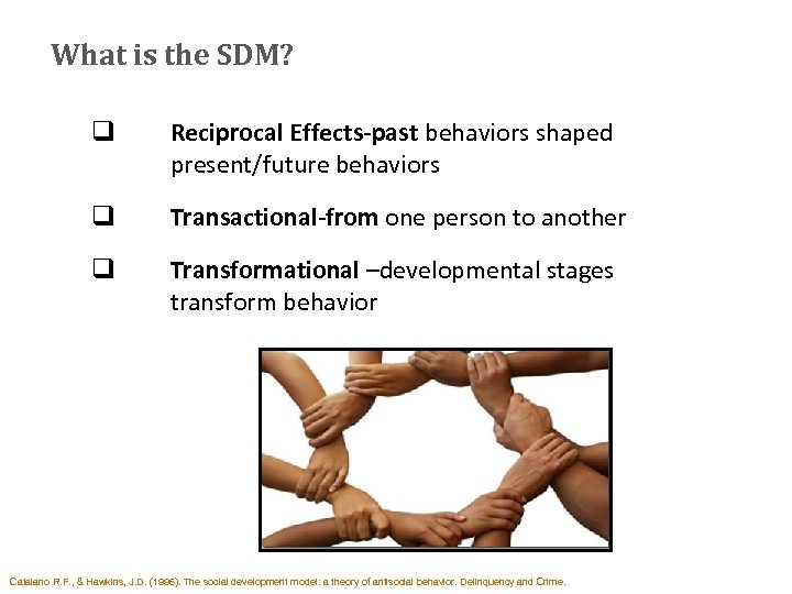 What is the SDM? q Reciprocal Effects-past behaviors shaped present/future behaviors q Transactional-from one