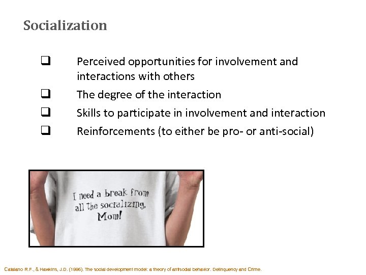 Socialization q Perceived opportunities for involvement and interactions with others q q q The