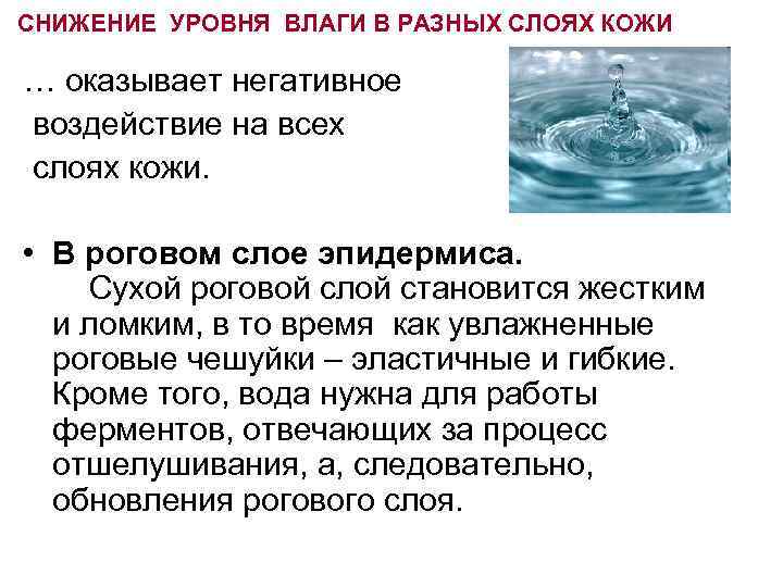 СНИЖЕНИЕ УРОВНЯ ВЛАГИ В РАЗНЫХ СЛОЯХ КОЖИ … оказывает негативное воздействие на всех слоях