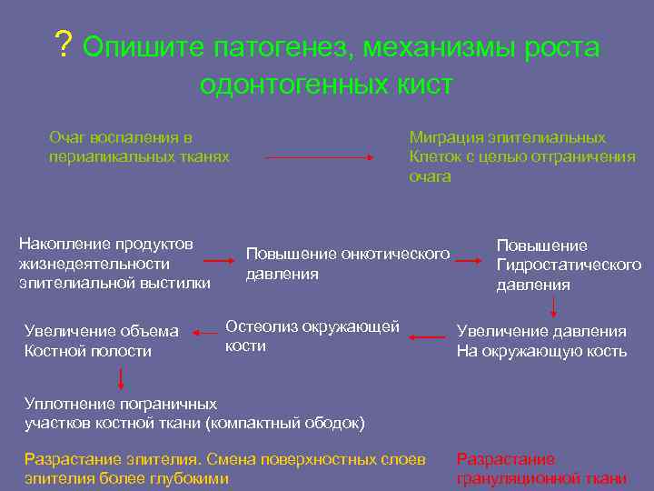 Механизмы роста