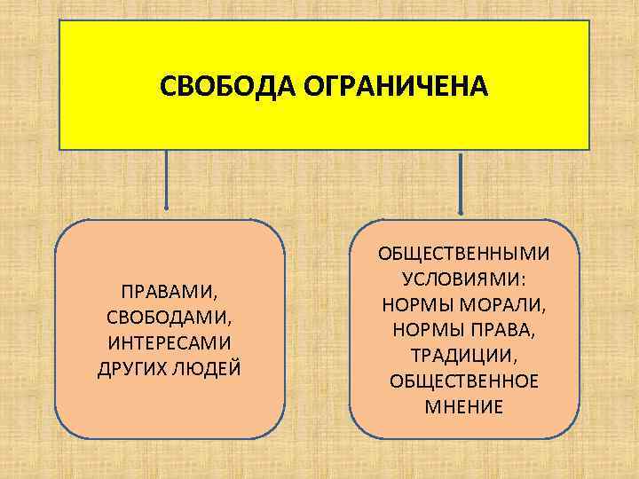 Свобода человека ограничена правами других людей