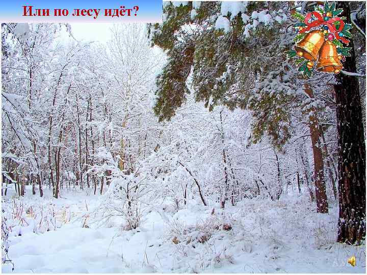 Или по лесу идёт? 