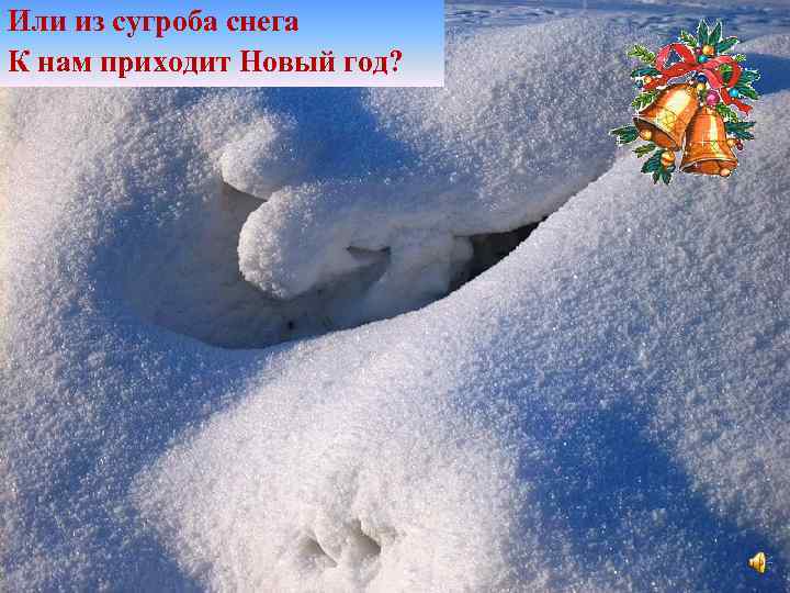 Или из сугроба снега К нам приходит Новый год? 