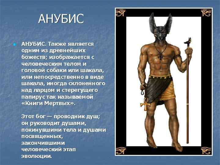АНУБИС n АНУБИС. Также является одним из древнейших божеств; изображается с человеческим телом и