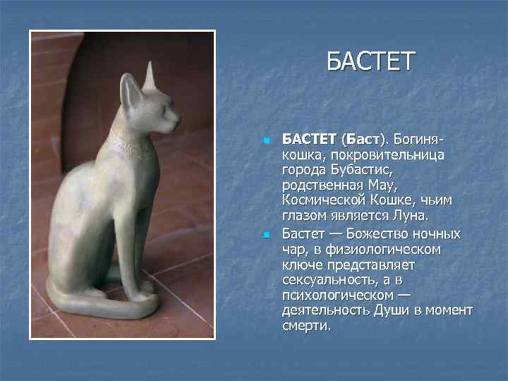 БАСТЕТ n n БАСТЕТ (Баст). Богинякошка, покровительница города Бубастис, родственная May, Космической Кошке, чьим