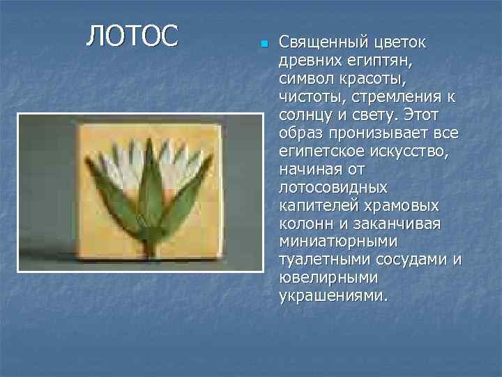 ЛОТОС n Священный цветок древних египтян, символ красоты, чистоты, стремления к солнцу и свету.