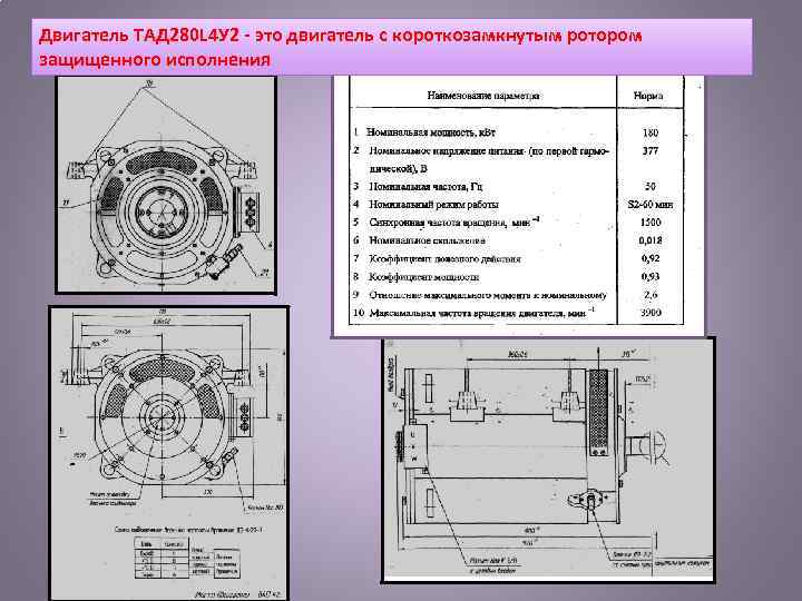 Двигатель ТАД 280 L 4 У 2 это двигатель с короткозамкнутым ротором защищенного исполнения