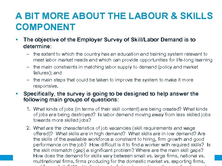 A BIT MORE ABOUT THE LABOUR & SKILLS COMPONENT The objective of the Employer