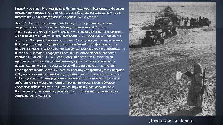 Весной и осенью 1942 года войска Ленинградского и Волховского фронтов предприняли несколько попыток прорвать