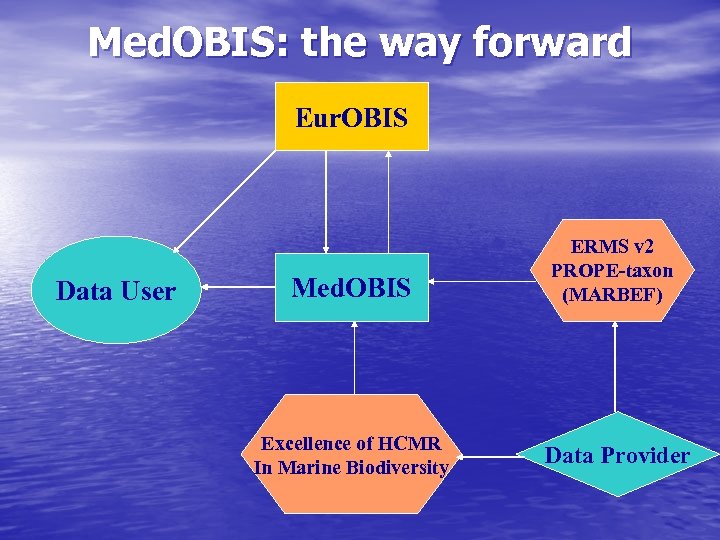 Med. OBIS: the way forward Eur. OBIS Data User Med. OBIS ERMS v 2