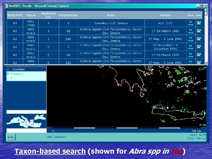 Taxon-based search (shown for Abra spp in red) 