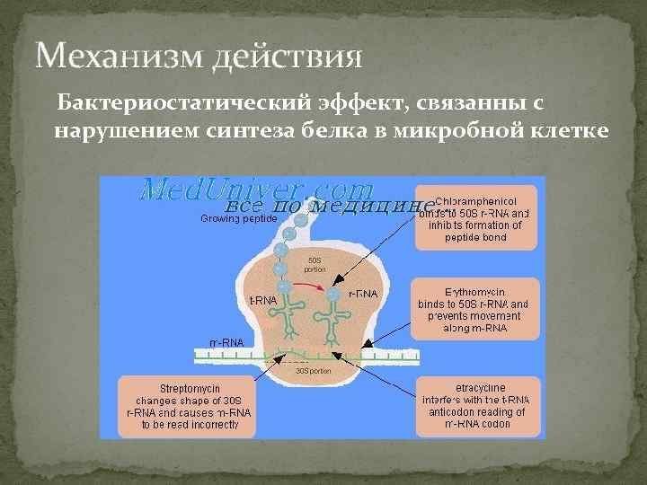 Механизм действия Бактериостатический эффект, связанны с нарушением синтеза белка в микробной клетке 