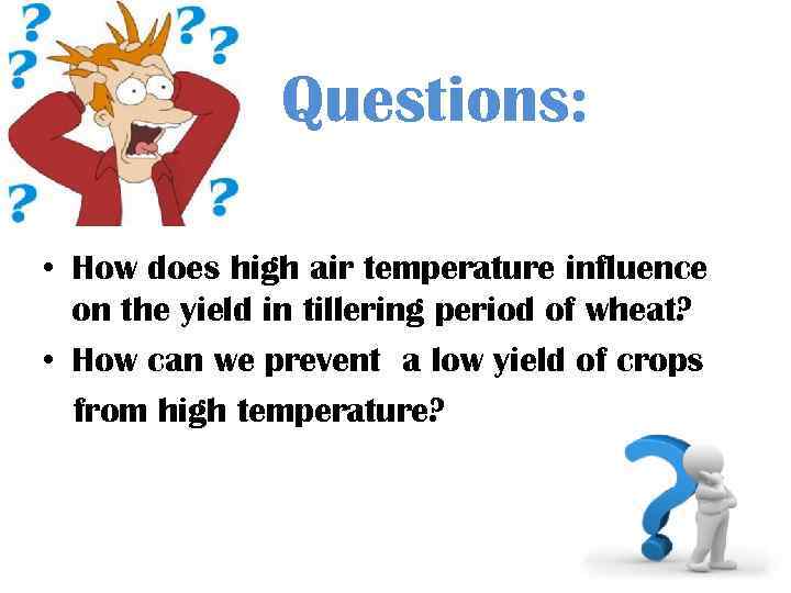 Questions: • How does high air temperature influence on the yield in tillering period