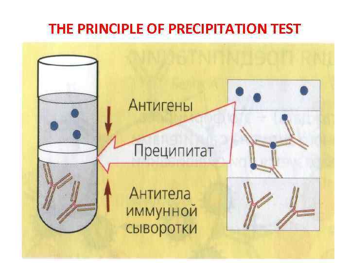 THE PRINCIPLE OF PRECIPITATION TEST 