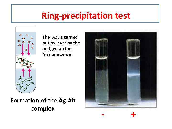 Ring-precipitation test The test is carried out by layering the antigen on the immune