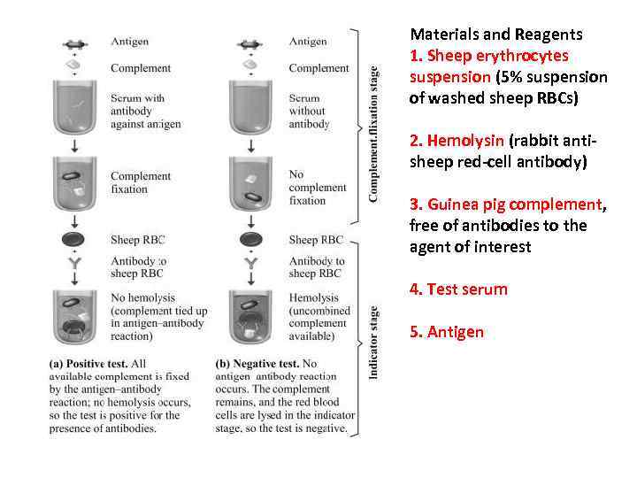 Materials and Reagents 1. Sheep erythrocytes suspension (5% suspension of washed sheep RBCs) 2.