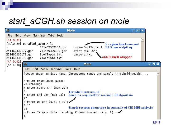 start_a. CGH. sh session on mole 12/17 