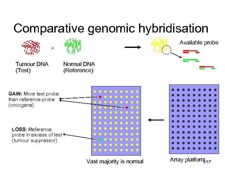 Comparative genomic hybridisation Available probe + Tumour DNA (Test) Normal DNA (Reference) GAIN: More