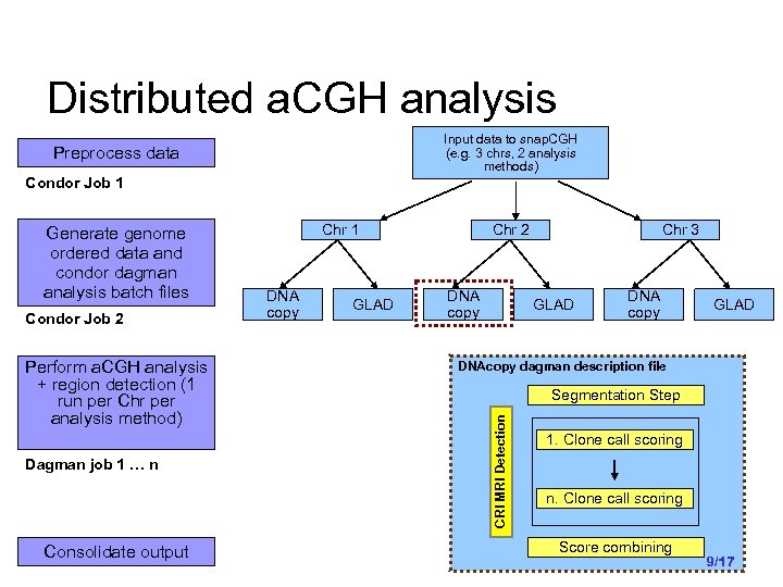 Distributed a. CGH analysis Input data to snap. CGH (e. g. 3 chrs, 2