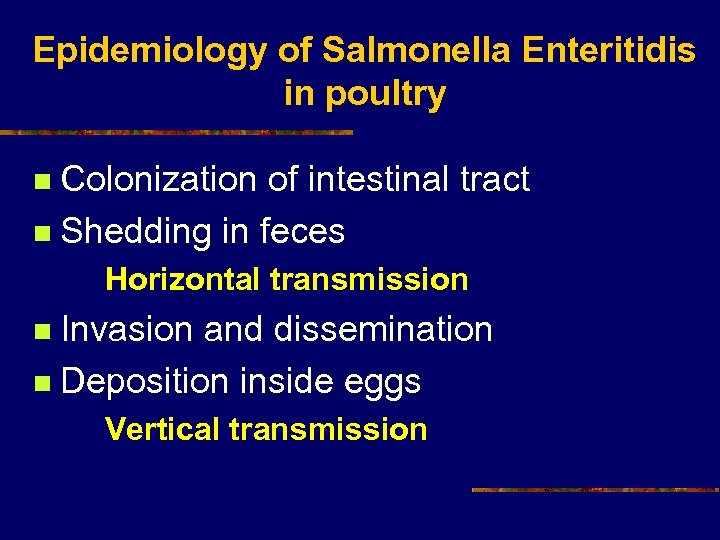 Epidemiology of Salmonella Enteritidis in poultry Colonization of intestinal tract n Shedding in feces