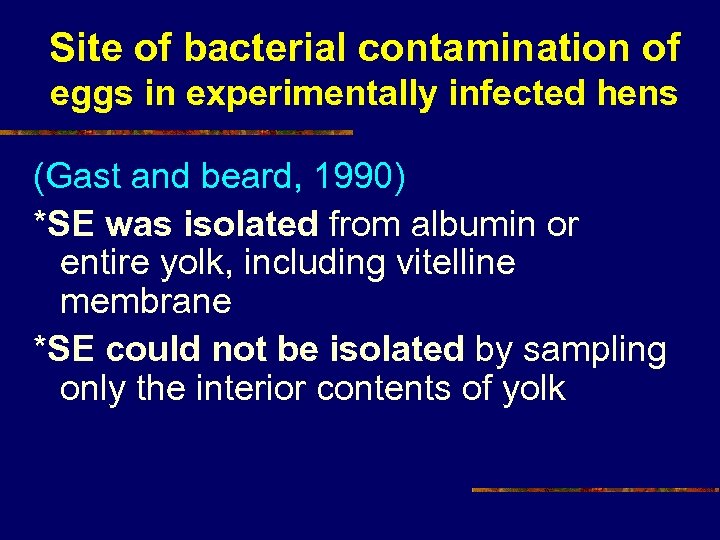 Site of bacterial contamination of eggs in experimentally infected hens (Gast and beard, 1990)