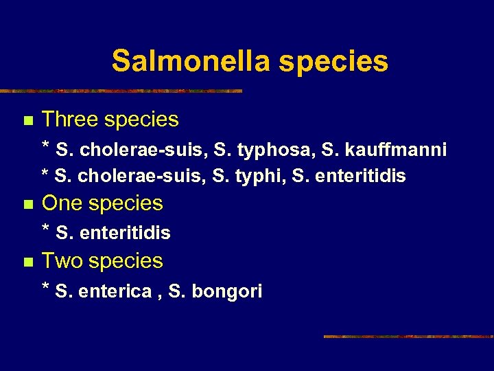 Salmonella species n Three species * S. cholerae-suis, S. typhosa, S. kauffmanni * S.