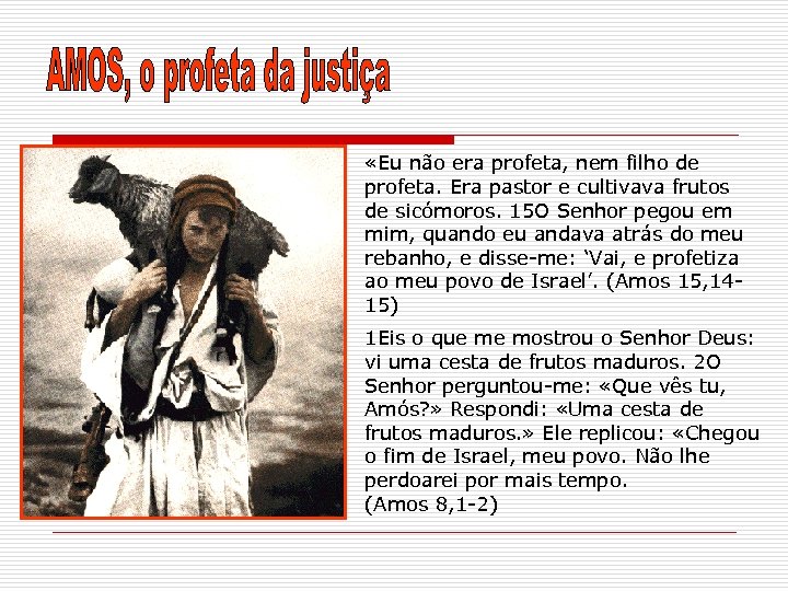  «Eu não era profeta, nem filho de profeta. Era pastor e cultivava frutos