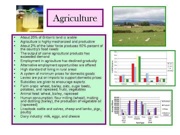 Agriculture • • • • About 25% of Britain's land is arable Agriculture is