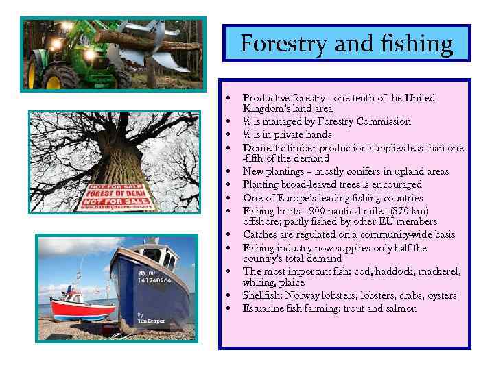Forestry and fishing • Productive forestry - one-tenth of the United Kingdom’s land area