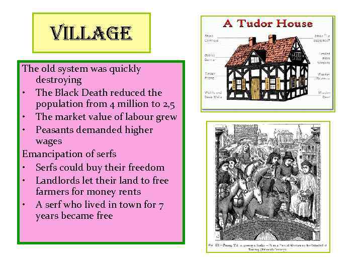 village The old system was quickly destroying • The Black Death reduced the population