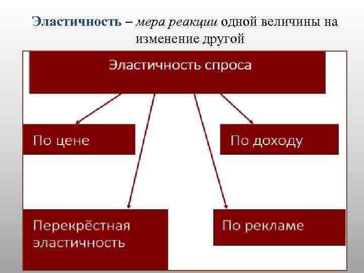 Эластичность – мера реакции одной величины на изменение другой 