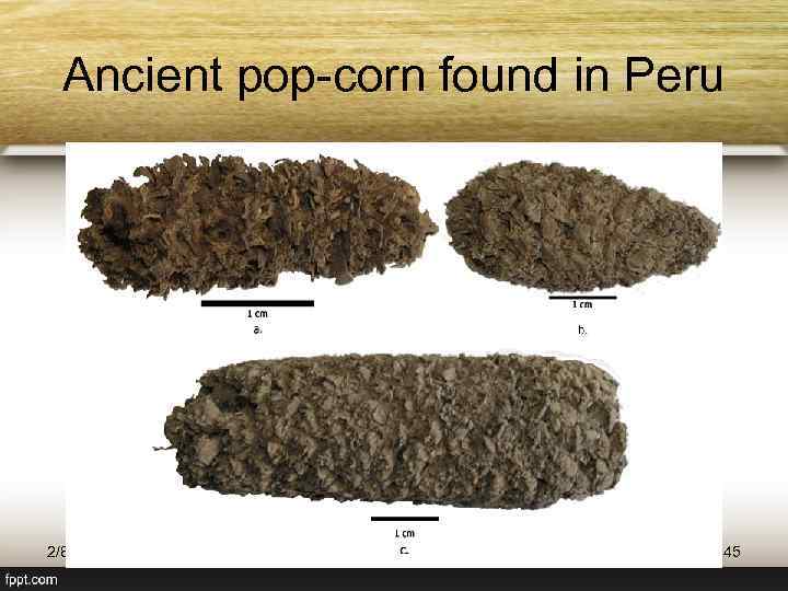 Ancient pop-corn found in Peru 2/8/2018 Богдевич А. И. 2012 45 