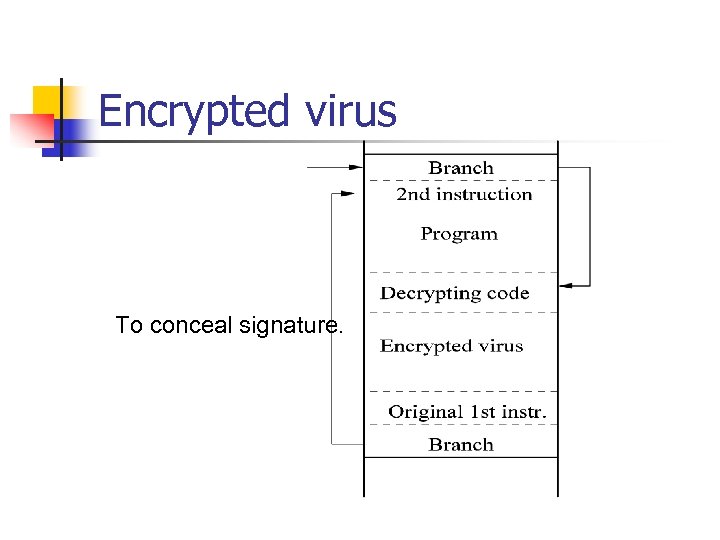 Encrypted virus To conceal signature. 