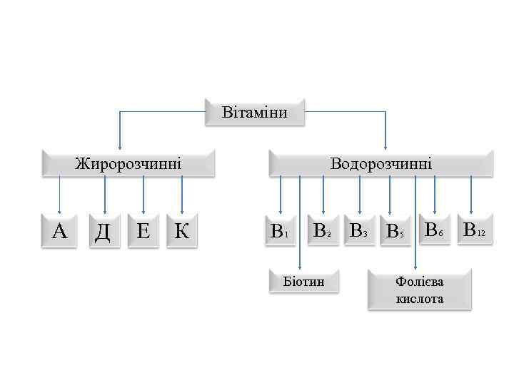 Вітаміни Жиророзчинні А Д Е К Водорозчинні В 1 В Біотин 2 В 3