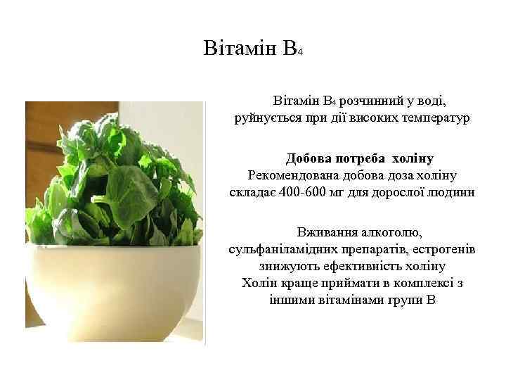 Вітамін В 4 розчинний у воді, руйнується при дії високих температур Добова потреба холіну