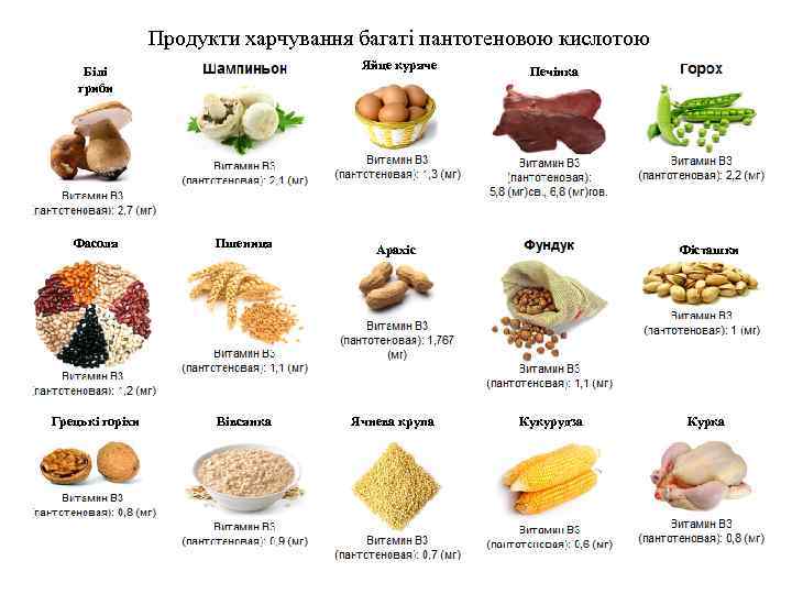 Продукти харчування багаті пантотеновою кислотою Яйце куряче Білі гриби Фасоля Пшениця Арахіс Грецькі горіхи