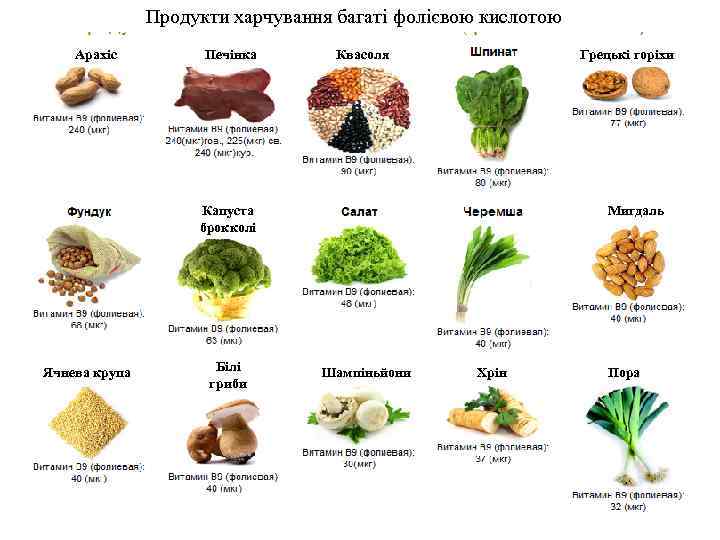 Продукти харчування багаті фолієвою кислотою Арахіс Печінка Квасоля Грецькі горіхи Капуста брокколі Ячнева крупа