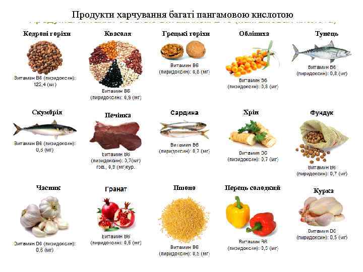 Продукти харчування багаті пангамовою кислотою Кедрові горіхи Квасоля Скумбрія Печінка Часник Грецькі горіхи Обліпиха