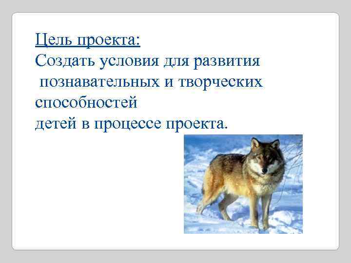 Цель проекта: Создать условия для развития познавательных и творческих способностей детей в процессе проекта.